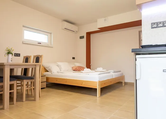 Tengercsillag Vendeghaz *